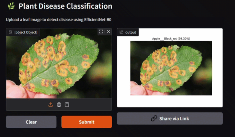 Plant Disease CNNs